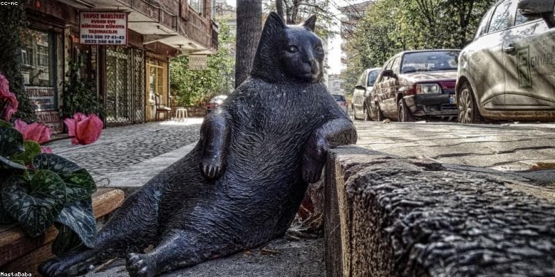 Günlük Su İhtiyacı Hesaplaması: Boy, Kilo ve Egzersiz Durumuna Göre Net Sonuçlar